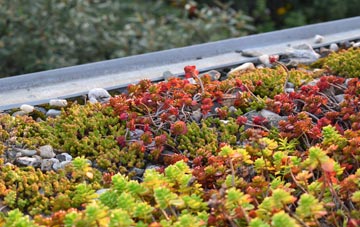 the cost of Earl Soham green roof installation